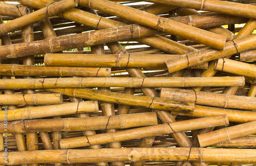 Bamboo background Bamboo background
