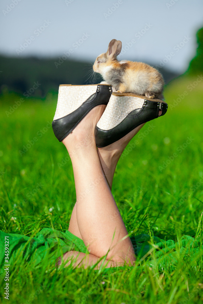 Fototapeta premium Snoopy little rabbit