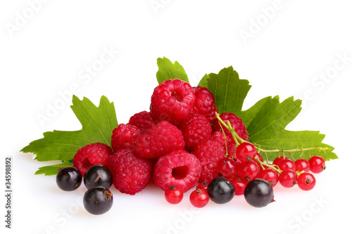 fresh raspberries  blackcurrant   and leaves isolated on white