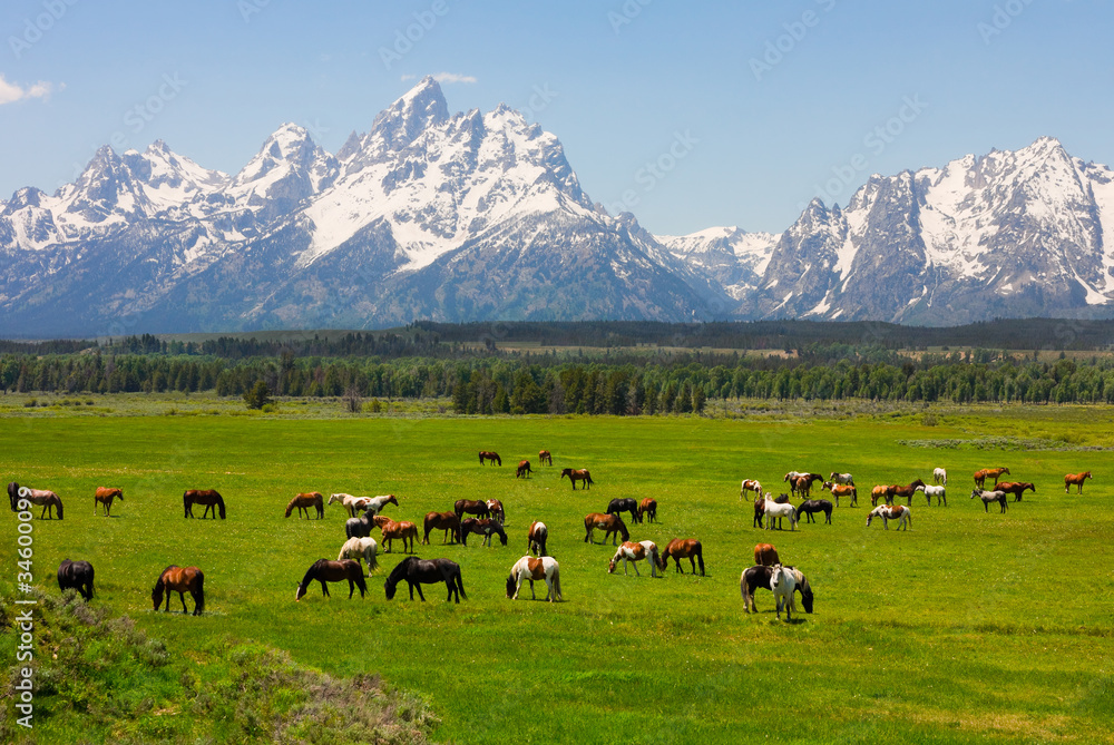 Φωτογραφία Grand Teton National Park