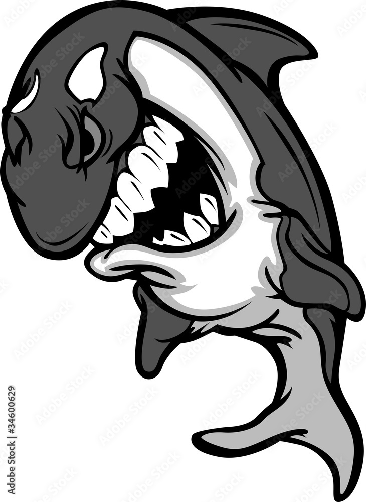 Fototapeta premium Killer Whale Mascot Cartoon