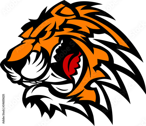 Tiger Mascot Graphic