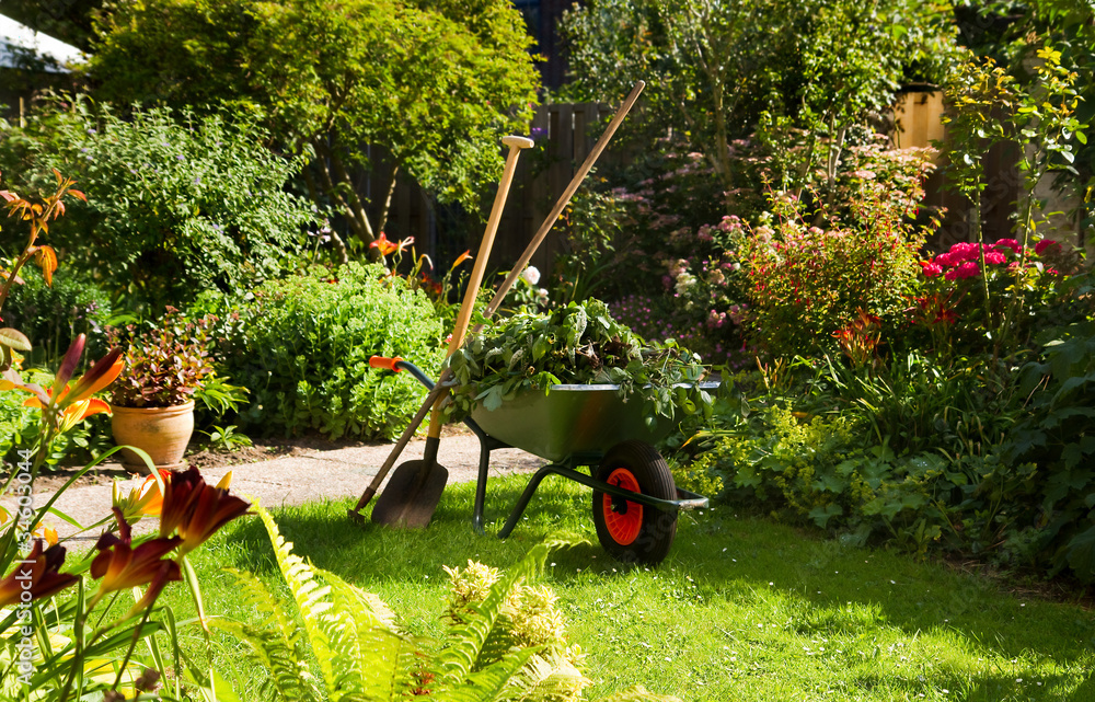 Obraz premium Praca z taczką w ogrodzie