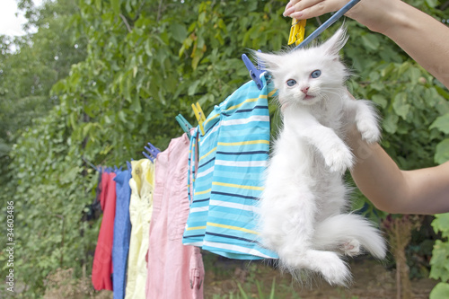 Washing line