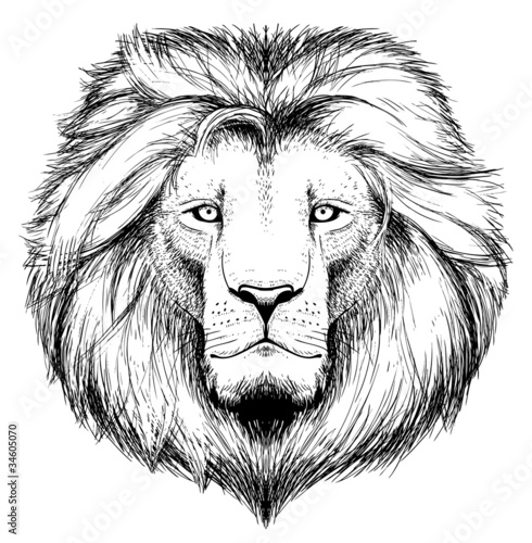 lion head