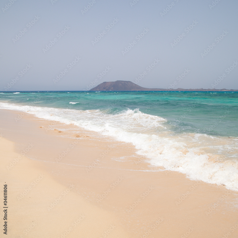 white sand beach on Fuerteventura (Corralejo 