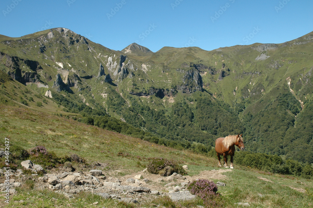 crêtes de la vallée de Chaudefour et cheval