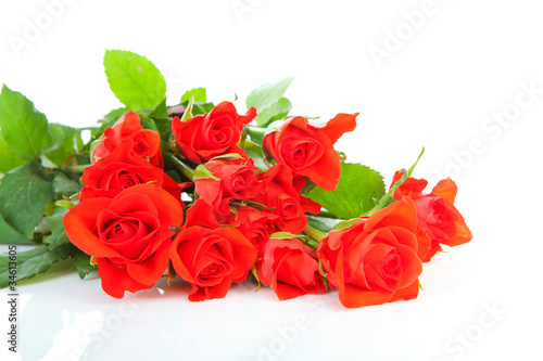 Pile of red roses over white background