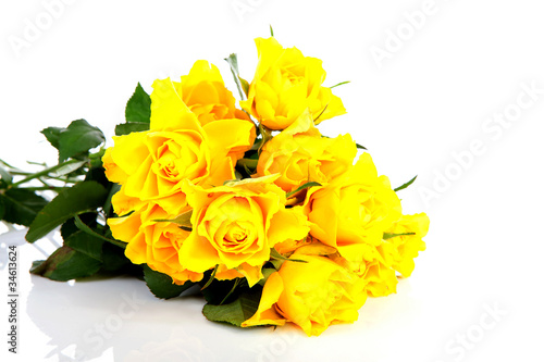 Pile of yellow roses over white background