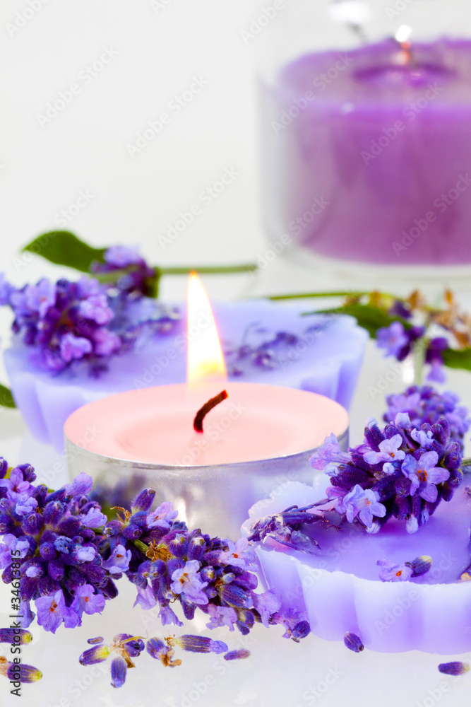 Lavendel Lavendel