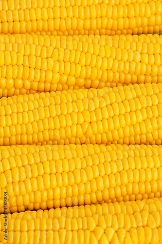 Corn on cob