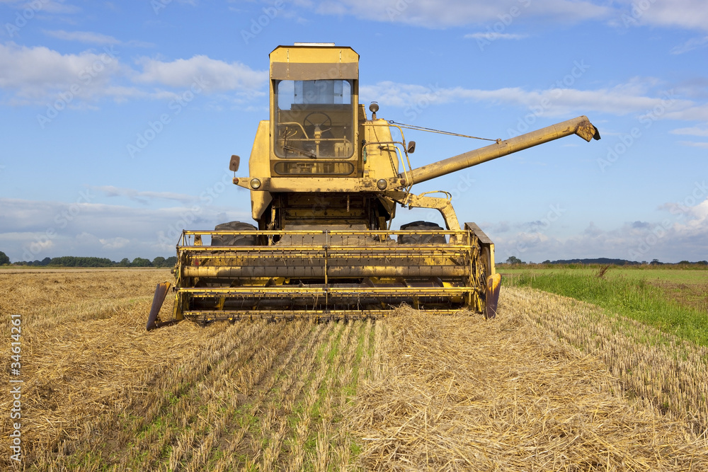 Fototapeta premium old yellow harvester 2