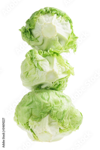 Iceberg Lettuce