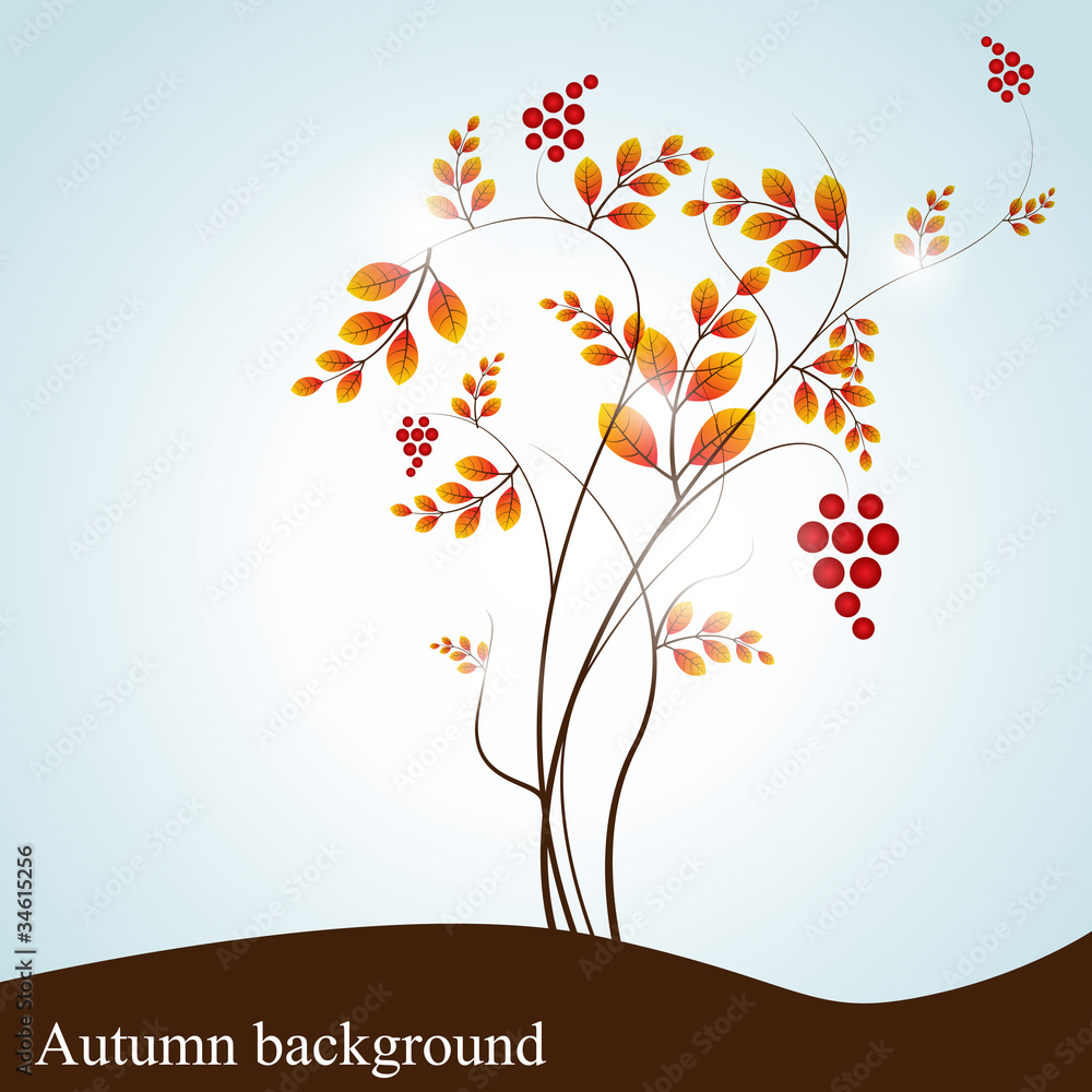 Fototapeta premium Autumn background
