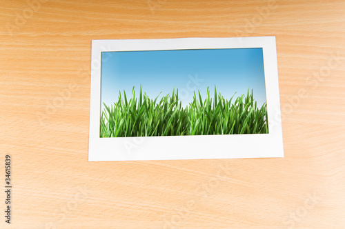 Green grass on the photo frame
