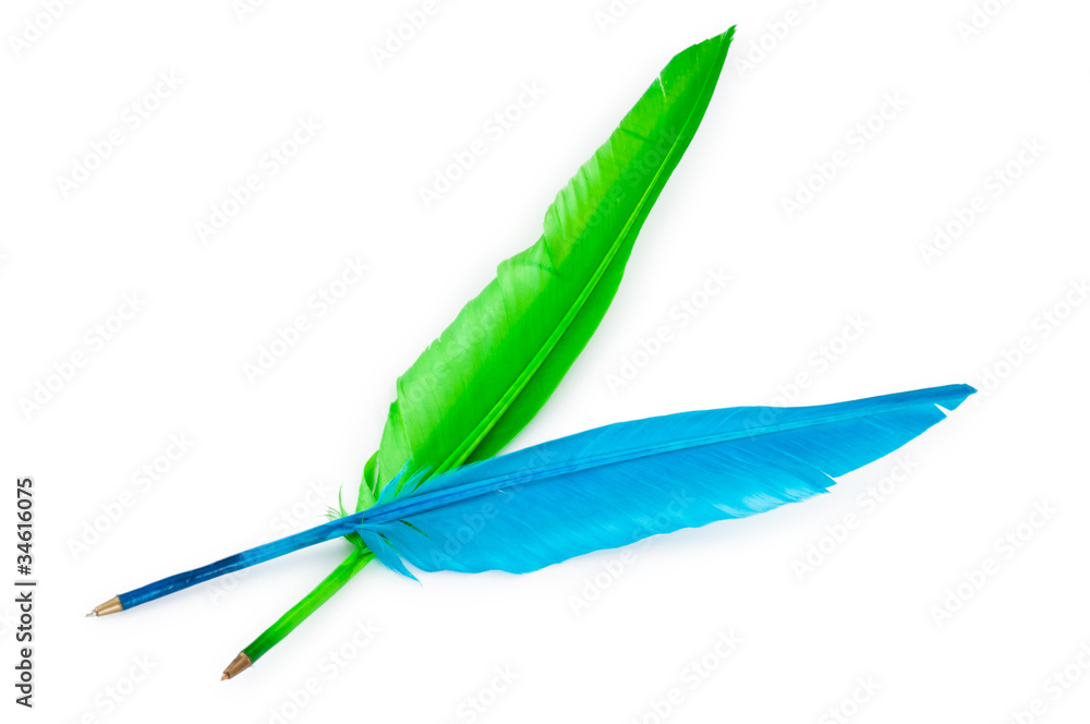 Writing feather isolated on the white background Writing feather isolated on the white background