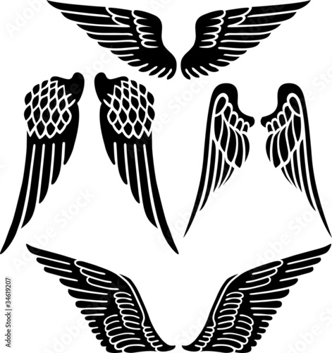 Angel wings isolated on white