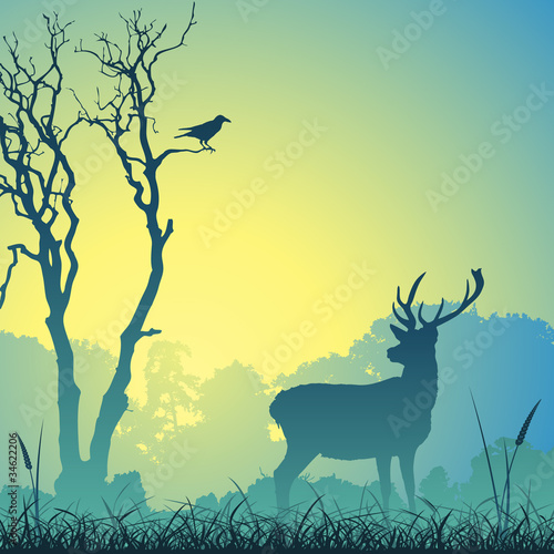 Male Stag Deer on a Meadow with Trees and Bird