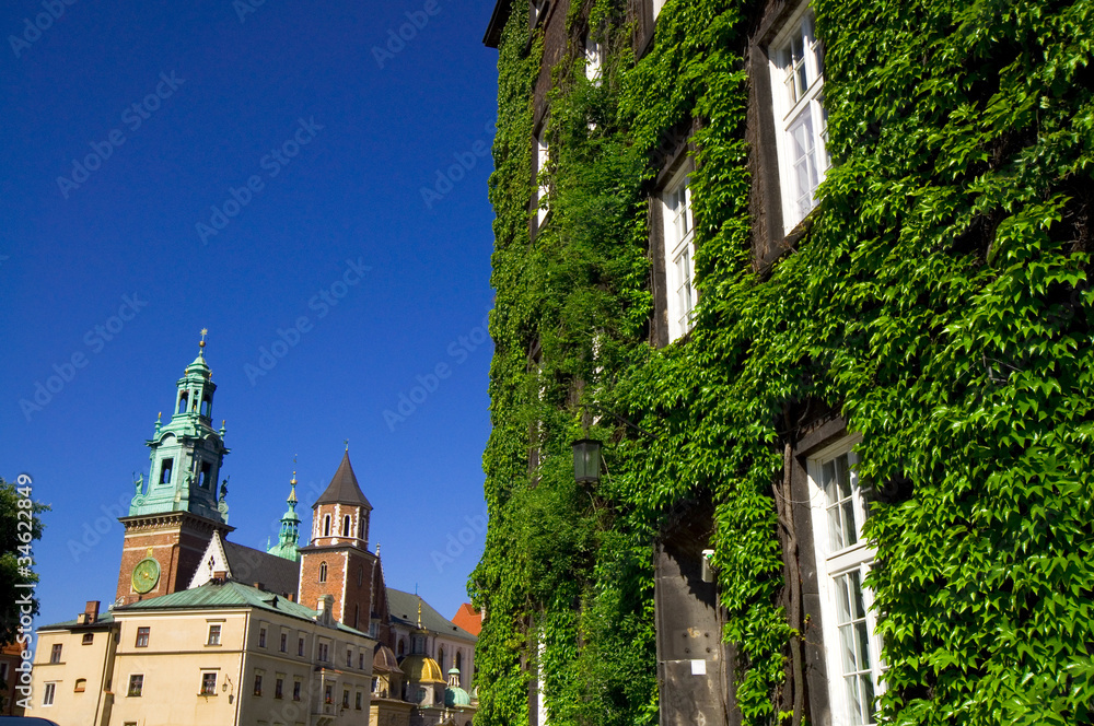 Obraz premium Wawel - Krakau - Polen
