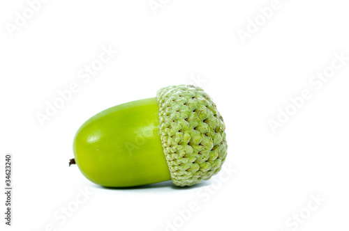 Green Acorn Fruits