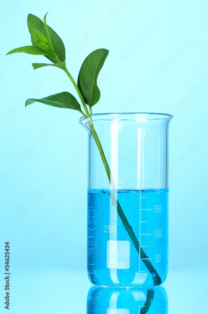 test tube with plants on blue background test tube with plants on blue background
