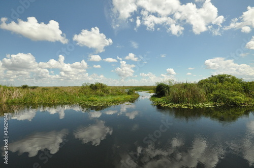 Everglades © emotionpicture