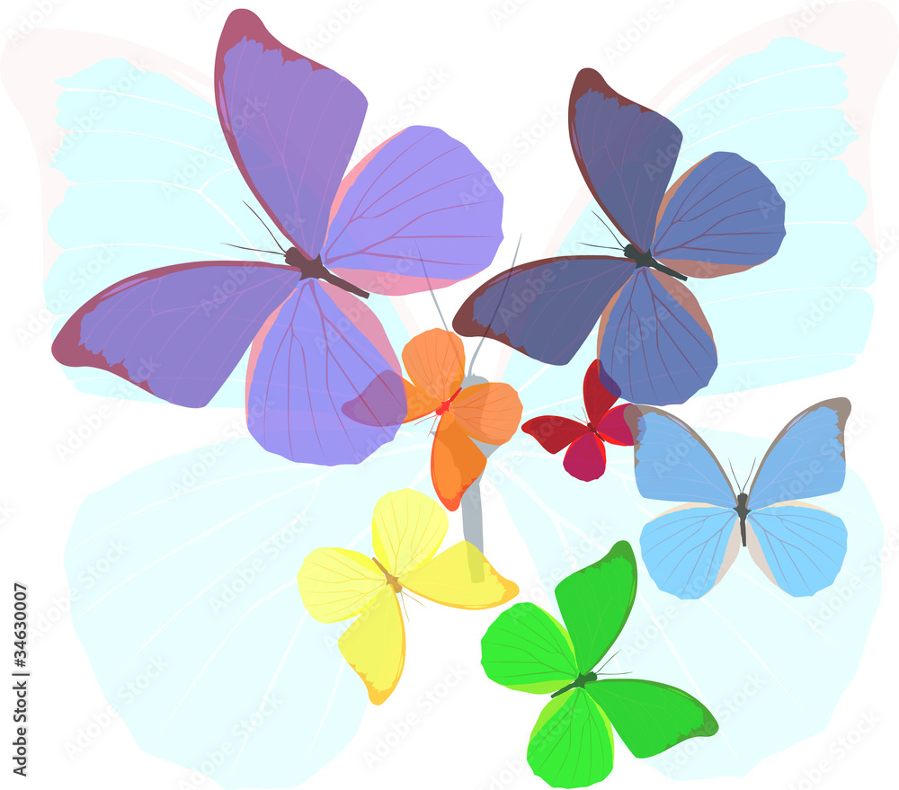 rainbow colors butterflies illustration