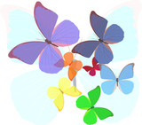 rainbow colors butterflies illustration