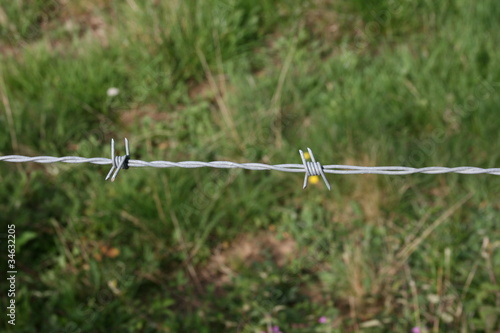 fil barbelé, barbed wire