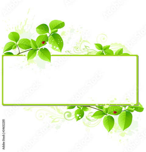Green banner