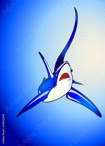 Valokuva thresher shark