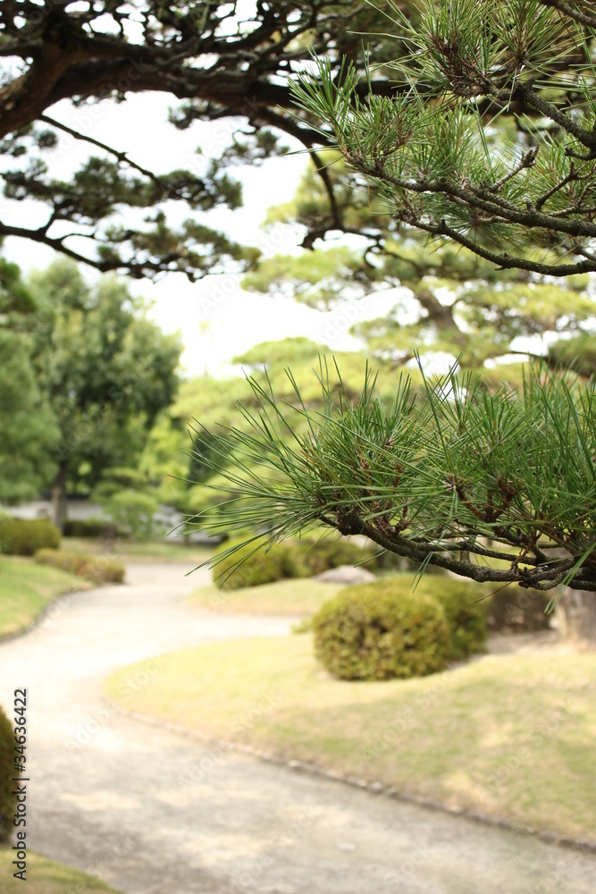 日本庭園 日本庭園