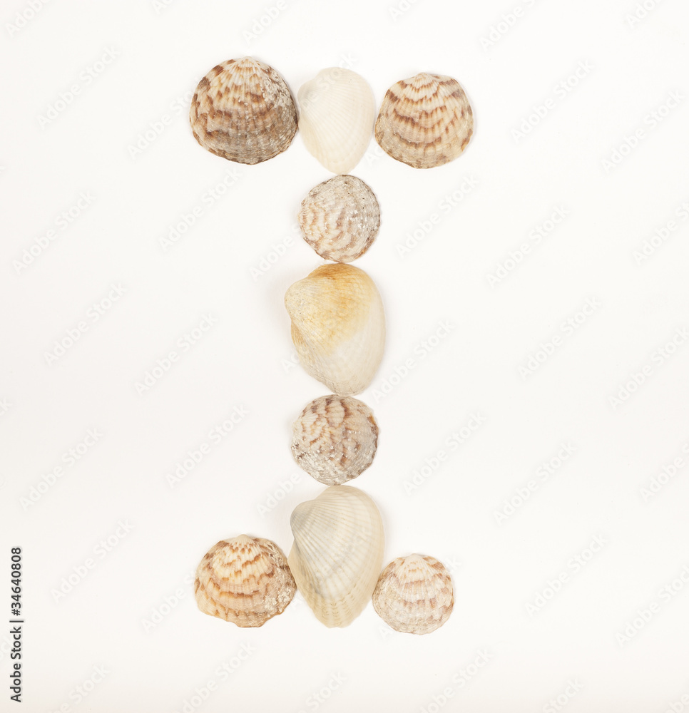 Alphabet letter made from sea shells Alphabet letter made from sea shells