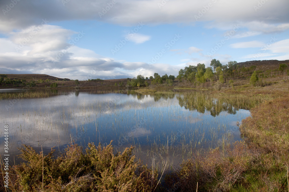 Balmaccan Moor