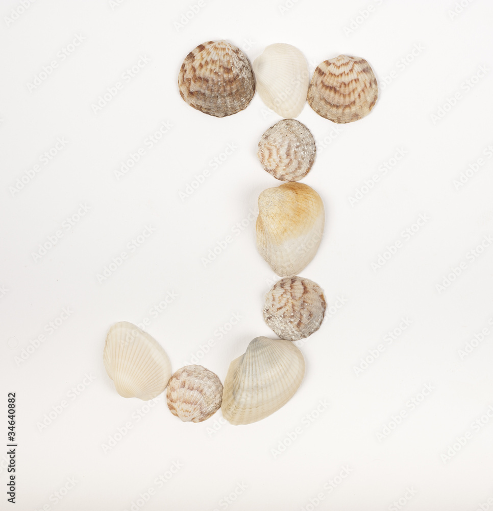 Alphabet letter made from sea shells Alphabet letter made from sea shells