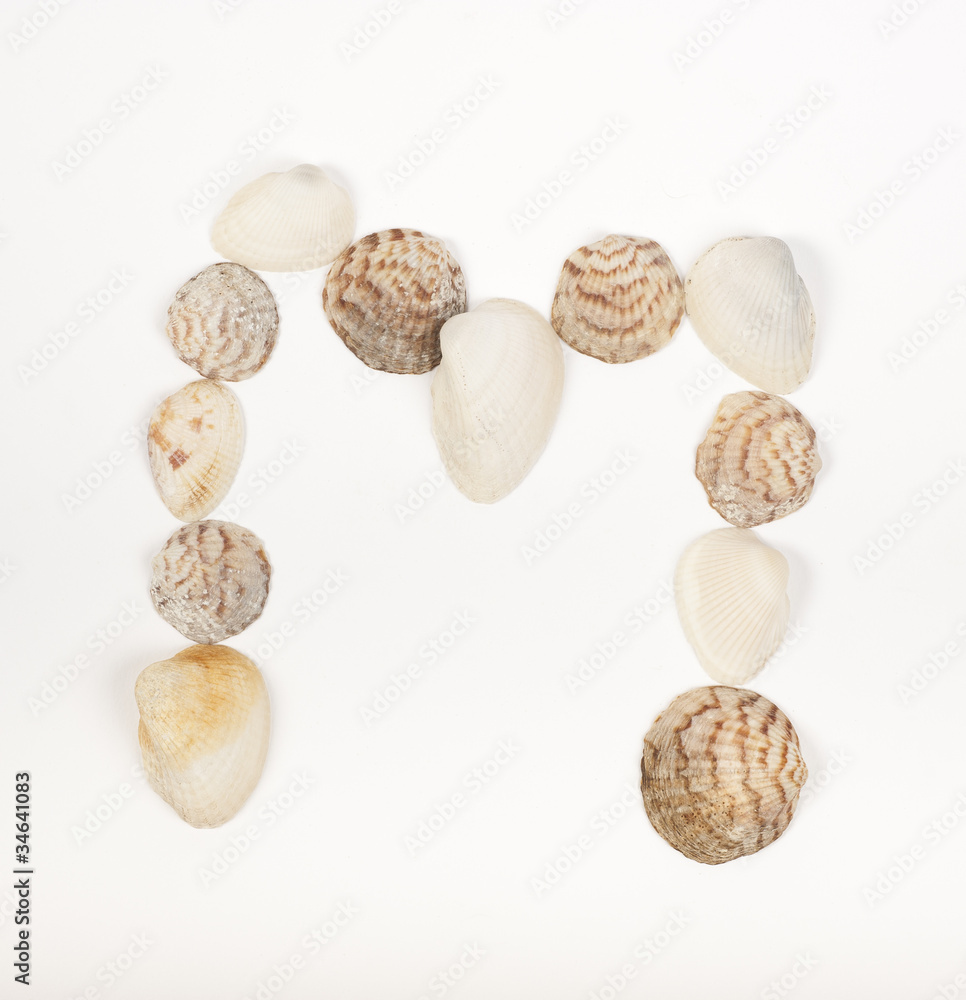 Alphabet letter made from sea shells Alphabet letter made from sea shells