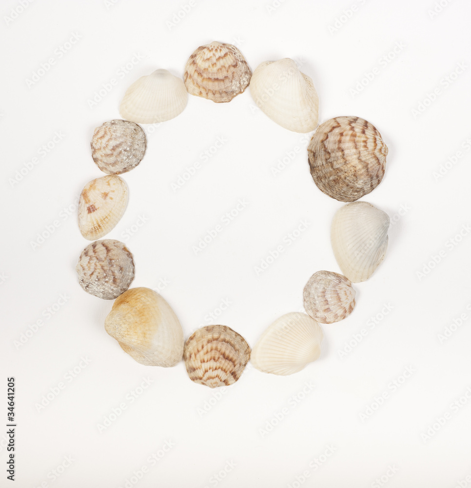 Obraz premium Alphabet letter made from sea shells