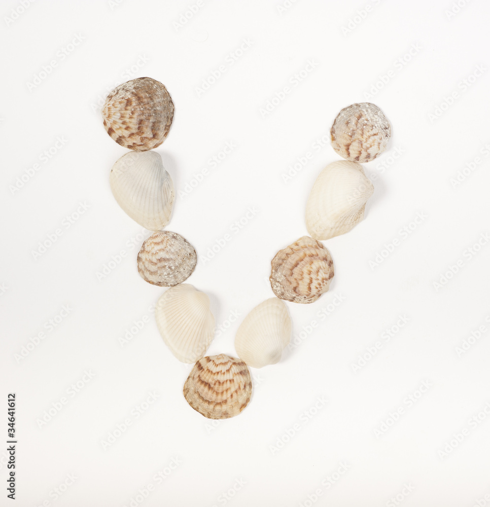 Alphabet letter made from sea shells Alphabet letter made from sea shells