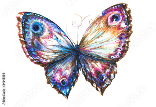 Canvas Print Blue butterfly hand painted.