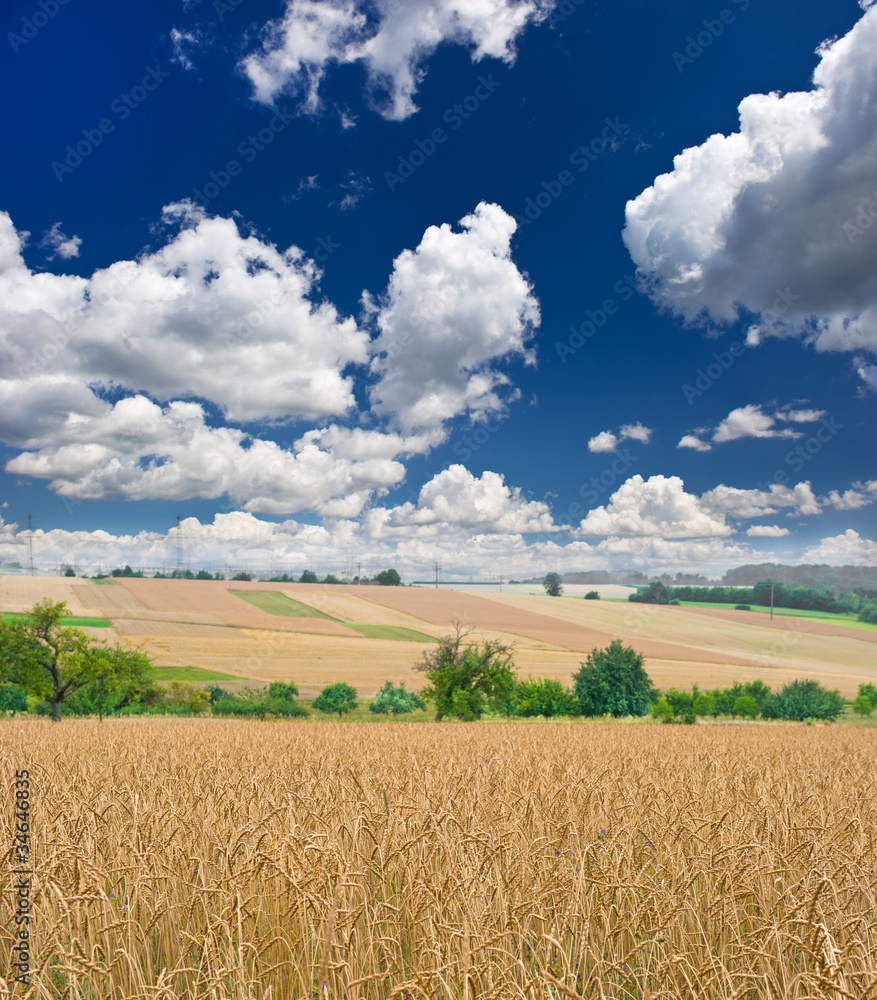 Kornfeld im Herbst. Landschaft mit blauem Himmel Kornfeld im Herbst. Landschaft mit blauem Himmel