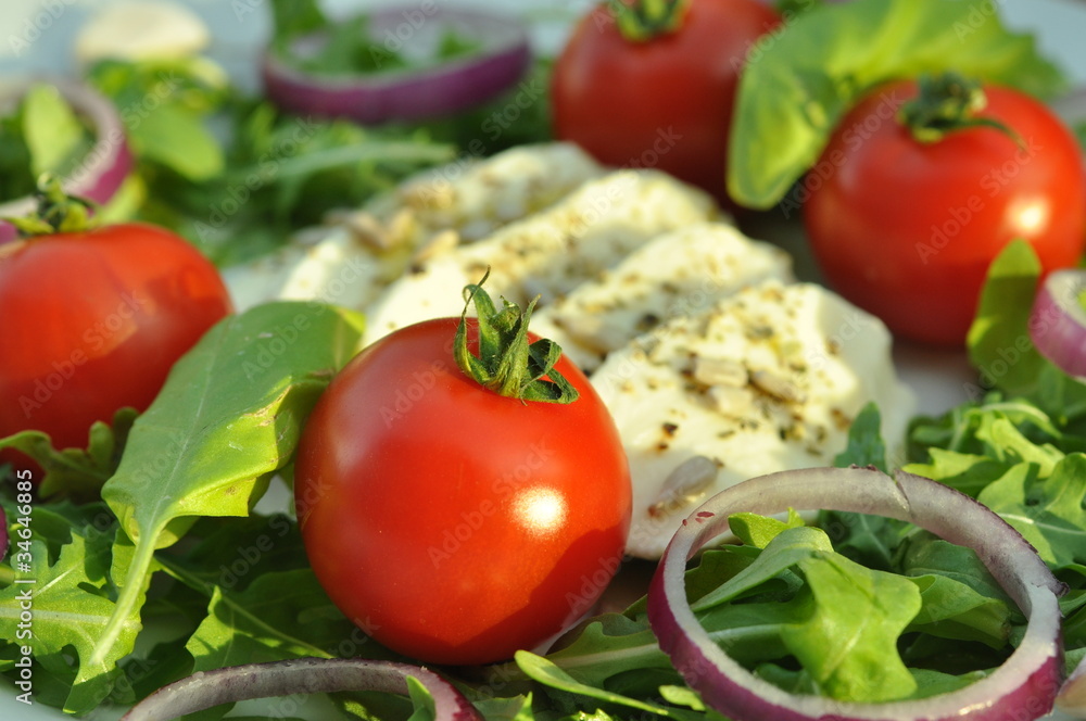 Rucola Salat - Tomaten Mozzarella Zwiebeln Kräuter Sommersalat Rucola Salat - Tomaten Mozzarella Zwiebeln Kräuter Sommersalat