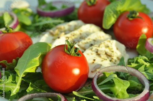 Rucola Salat - Tomaten Mozzarella Zwiebeln Kräuter Sommersalat