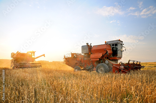 Combine harvesting © ortodoxfoto