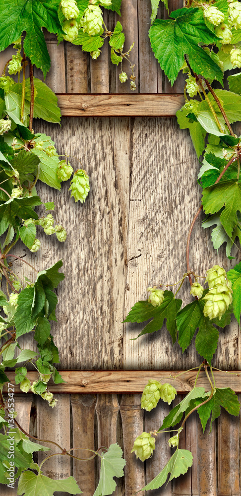 Thrickets of hop on a wooden wall Thrickets of hop on a wooden wall