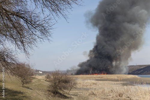 fire in the field © russieseo