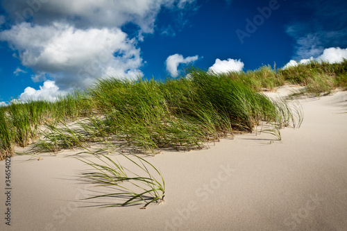 Sea grass and dune with clo...