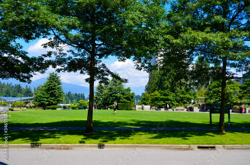 Fototapeta Naklejka Na Ścianę i Meble -  Vancouver: Stanley Park