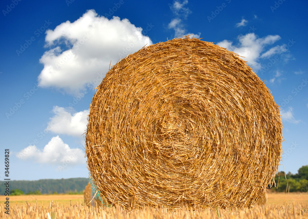 big round bales of straw in the field big round bales of straw in the field