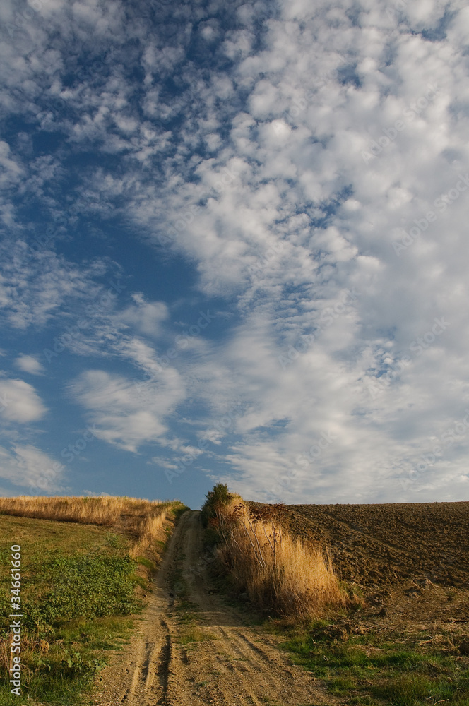 country landscape with a green field and blue sky country landscape with a green field and blue sky