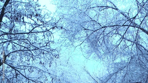 Cold weather